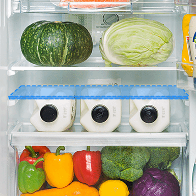 GR-RT300WE-PMY | 270L 2 Doors Refrigerator
